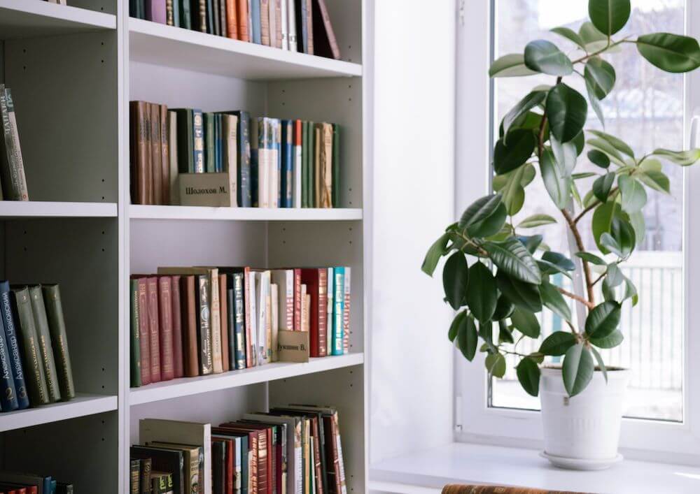 a-white-bookshelf-with-various-books-next-to-a-large-green-potted-plant